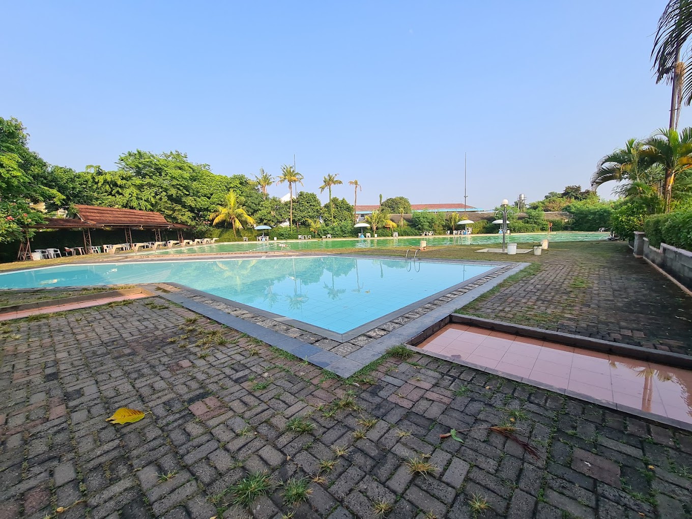Rafflesia Pools